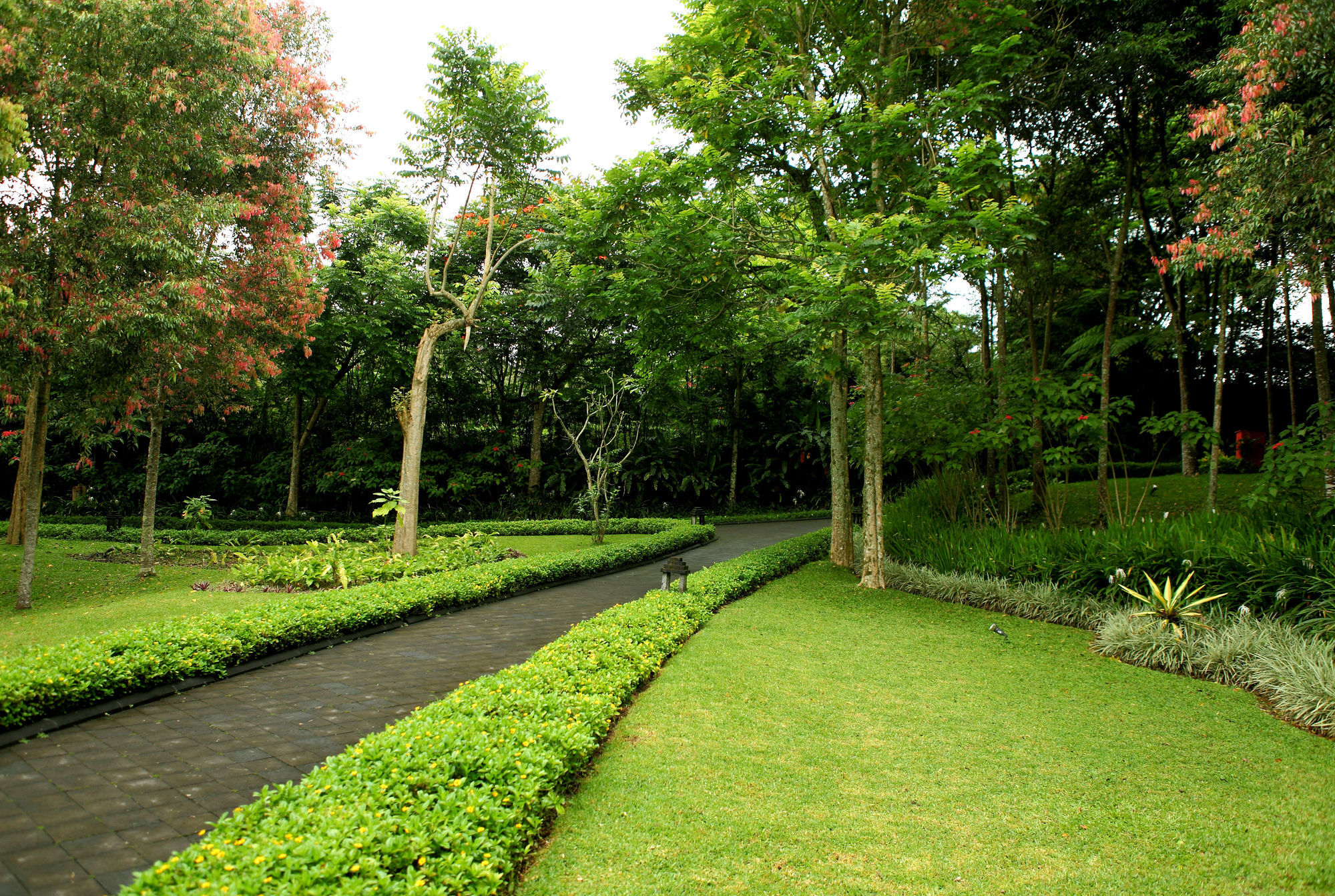 Villa Puri Candikuning Baturiti エクステリア 写真